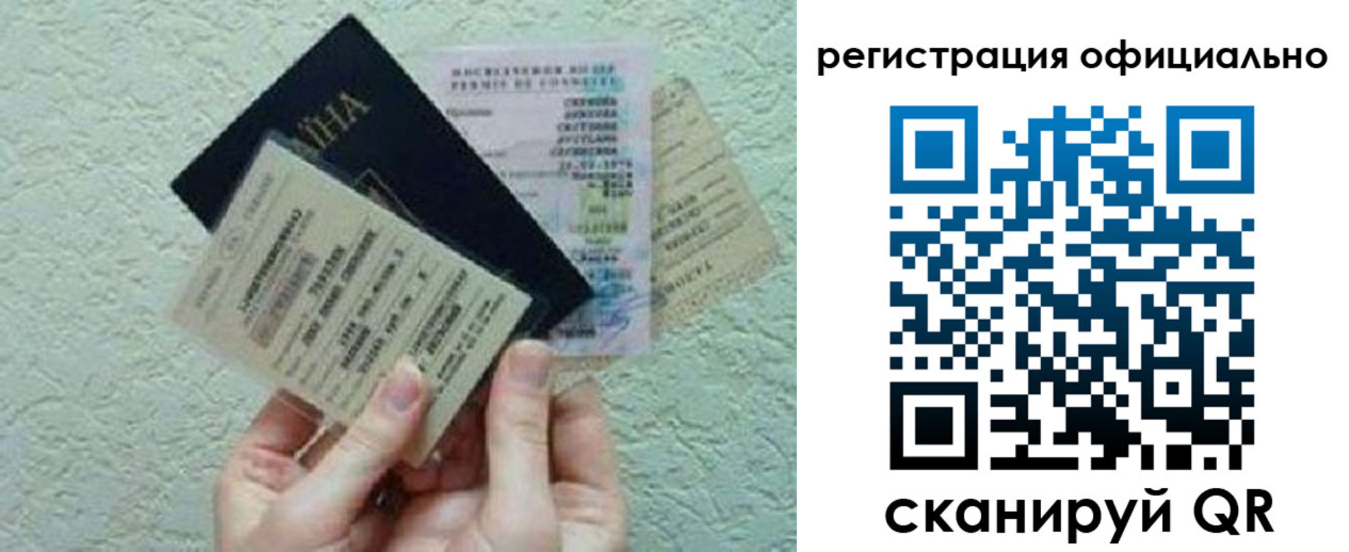 временная регистрация в Димитровграде